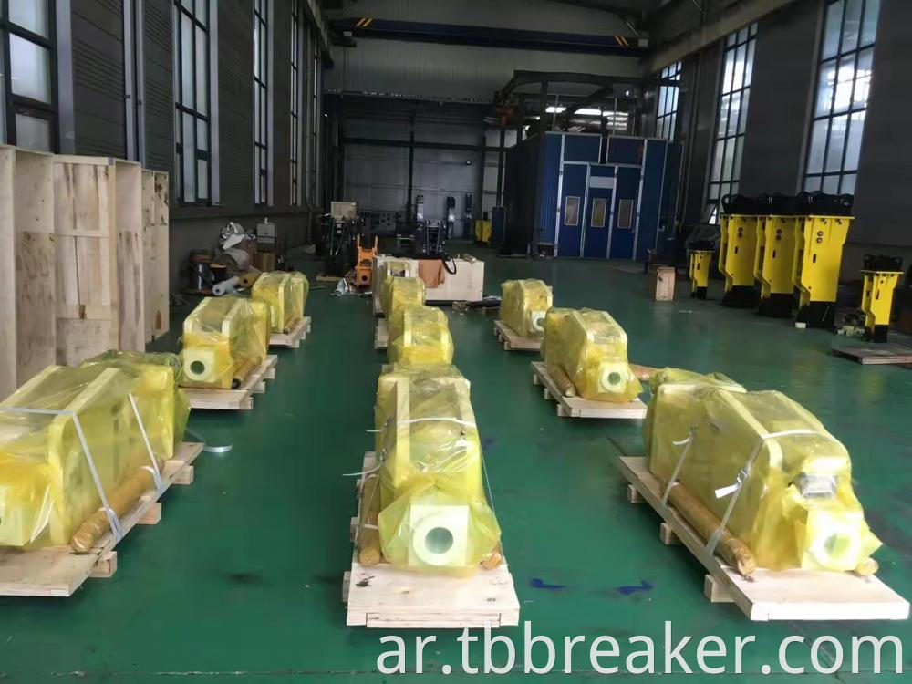 Hydraulic Breaker Packing